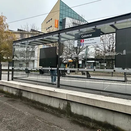 Charmant Studio Avec Terrasse Illkirch-Graffenstaden Exterior photo